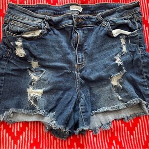 Cello Blue Distressed Jean Shorts